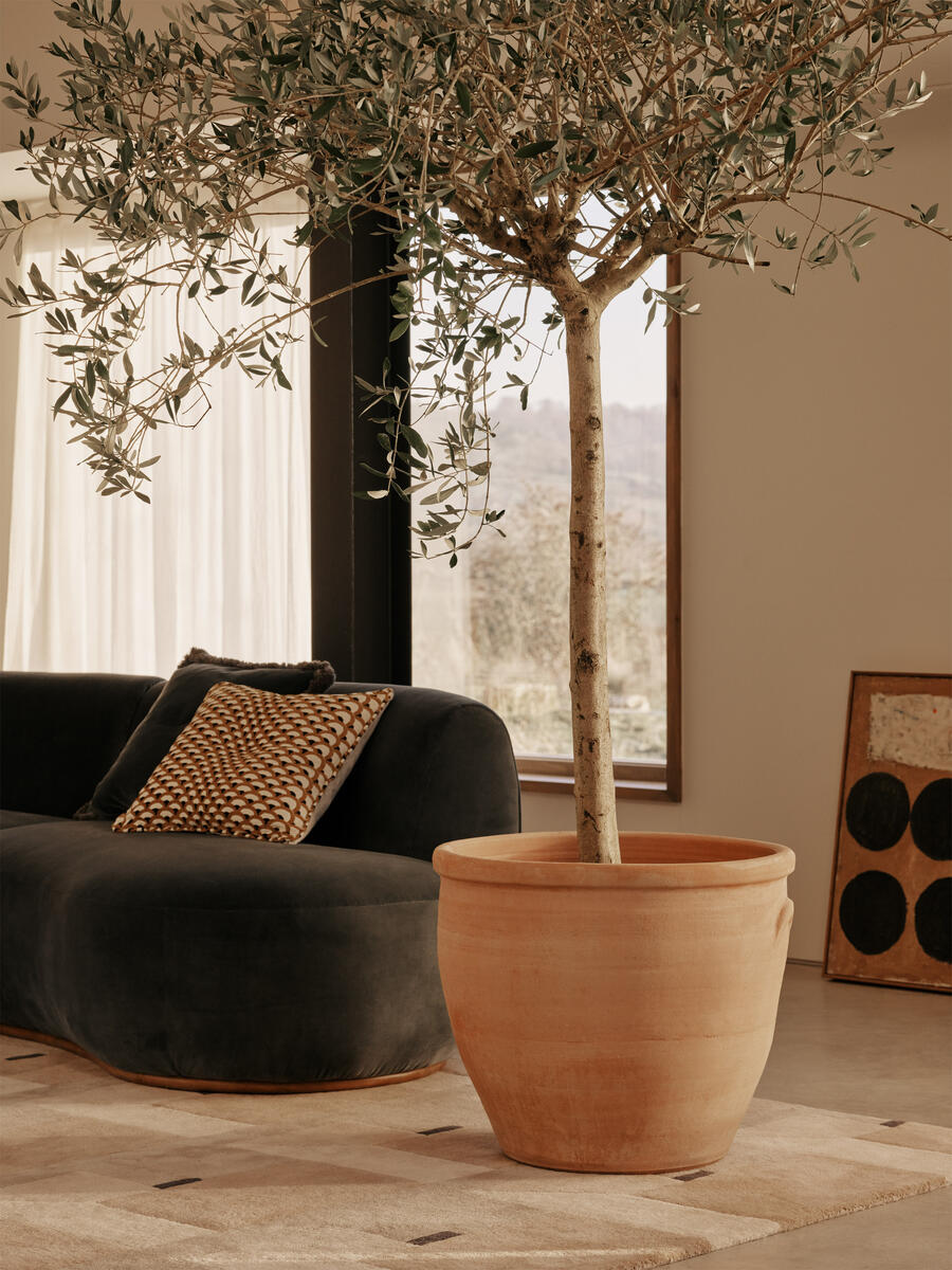 Aline Serpentine Modular Sofa - Four Seater - Grey Blue Velvet - Lifestyle - Image 2